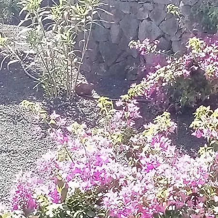 Casa Marilyn Βίλα